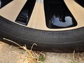 狮跑 2013款 2.0GLS 自动两驱图片