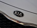 凯尊 2.4L 自动 商务天窗型 国IV 2013款图片