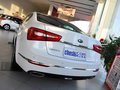 凯尊 2.4L 自动 商务天窗型 国IV 2013款图片