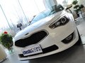凯尊 2.4L 自动 商务天窗型 国IV 2013款图片