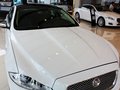 捷豹XJ 捷豹XJ 3.0SC AT 劍橋限量版 2013款圖片
