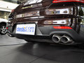 Panamera新能源 2014款 Panamera图片