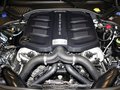 Panamera Panamera 3.0T 4S 2014款图片