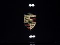 Panamera Panamera 3.0T 4S 2014款图片