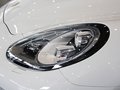 Panamera 图片