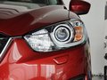 馬自達(dá)CX-5 2.0L 自動(dòng) 四驅(qū)尊貴型 2013款圖片