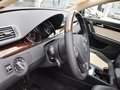 邁騰 2013款 3.0FSI DSG 旗艦型圖片