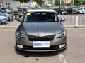 速派 2013款 1.4T DSG 绅仕版图片