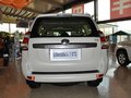 普拉多(进口) 丰田 普拉多 2.7L 自动 基本型 2014款 图片