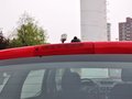 麥瑞納 1.4T 自動(dòng) 舒適型 5座 2013款圖片