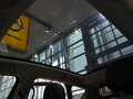麦瑞纳 图片