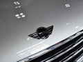 MINI PACEMAN 2013款 1.6T COOPER ALL 4图片