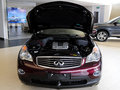 英菲尼迪QX50(進(jìn)口) 2013款 2.5L 自動(dòng) 兩驅(qū)尊雅版圖片