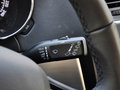 Yeti 2014款 野帝 1.8TSI DSG 极地版图片