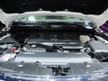 英菲尼迪QX80 2013款 QX80图片