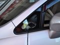 启辰D50 1.6L 手动 北斗导航版 2013款图片