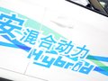 逸动 图片