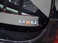 Yeti（进口） 图片
