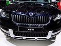 Yeti（进口） 图片