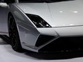 Gallardo 图片