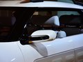 雪鐵龍C4 Cactus 圖片