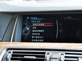 宝马5系 530Li 豪华设计套装 2014款图片