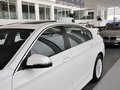 宝马5系 2014款 5系 525Li 领先型图片