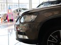 Yeti 2013款1.8TSI DSG 野驅(qū)版圖片