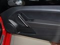甲壳虫 2014款 1.4TSI DCT R-line图片