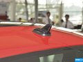 甲壳虫 图片