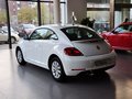 甲殼蟲 甲殼蟲 1.4TSI 舒適型 2014款圖片