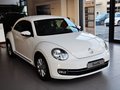 甲壳虫 甲壳虫 1.4TSI 舒适型 2014款图片
