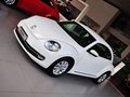 甲壳虫 甲壳虫 1.4TSI 舒适型 2014款图片