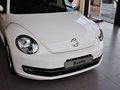 甲殼蟲 甲殼蟲 1.4TSI 舒適型 2014款圖片