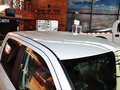 RAM Trucks霸王龙 2014款 5.7L 长角版图片