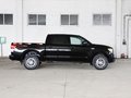 坦途 2014款 5.7L SR5 TRD版图片