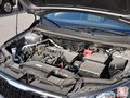 福瑞迪 2014款 1.6L AT Premium Special图片