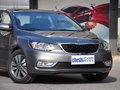 福瑞迪 2014款 1.6L AT Premium Special图片