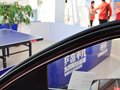 福瑞迪 1.6L 自动 Premium 2014款图片