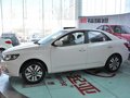 福瑞迪 1.6L 手动 GLS 2014款图片
