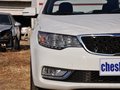 福瑞迪 1.6 手动 GLS 2014款图片