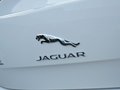 捷豹XJ XJL 3.0 SC 两驱全景商务版 2014款图片