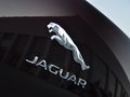捷豹XJ XJL 3.0 SC 四驱全景商务版 2014款图片