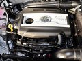 Tiguan Tiguan 2.0TSI 专享版 2014款图片