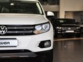 Tiguan Tiguan 2.0TSI 专享版 2014款图片