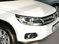 Tiguan Tiguan 2.0TSI 专享版 2014款图片