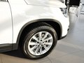 Tiguan Tiguan 2.0TSI 专享版 2014款图片