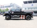 福特F650 2011款 F650 基本型图片