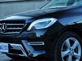 奔馳M級(jí) ML400 4MATIC 動(dòng)感型 2014款圖片