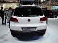 Tiguan 图片